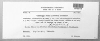 Ustilago nuda image